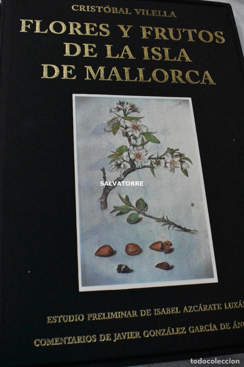 Second hand books: FLORES Y FRUTOS DE LA ISLA DE MALLORCA. CRIST&Oacute;BAL VILELLA. BOT&Aacute;NICA. BALEARES