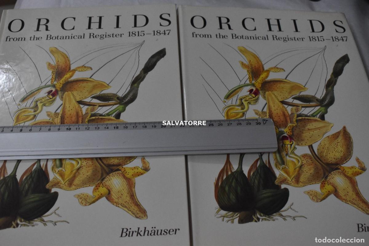 Second hand books: Orchids From the Botanical Register, 1815-1847 ORQU&Iacute;DEAS REGISTO VARIEDADES.2 TOMOS SAMUEL SPRUNGER