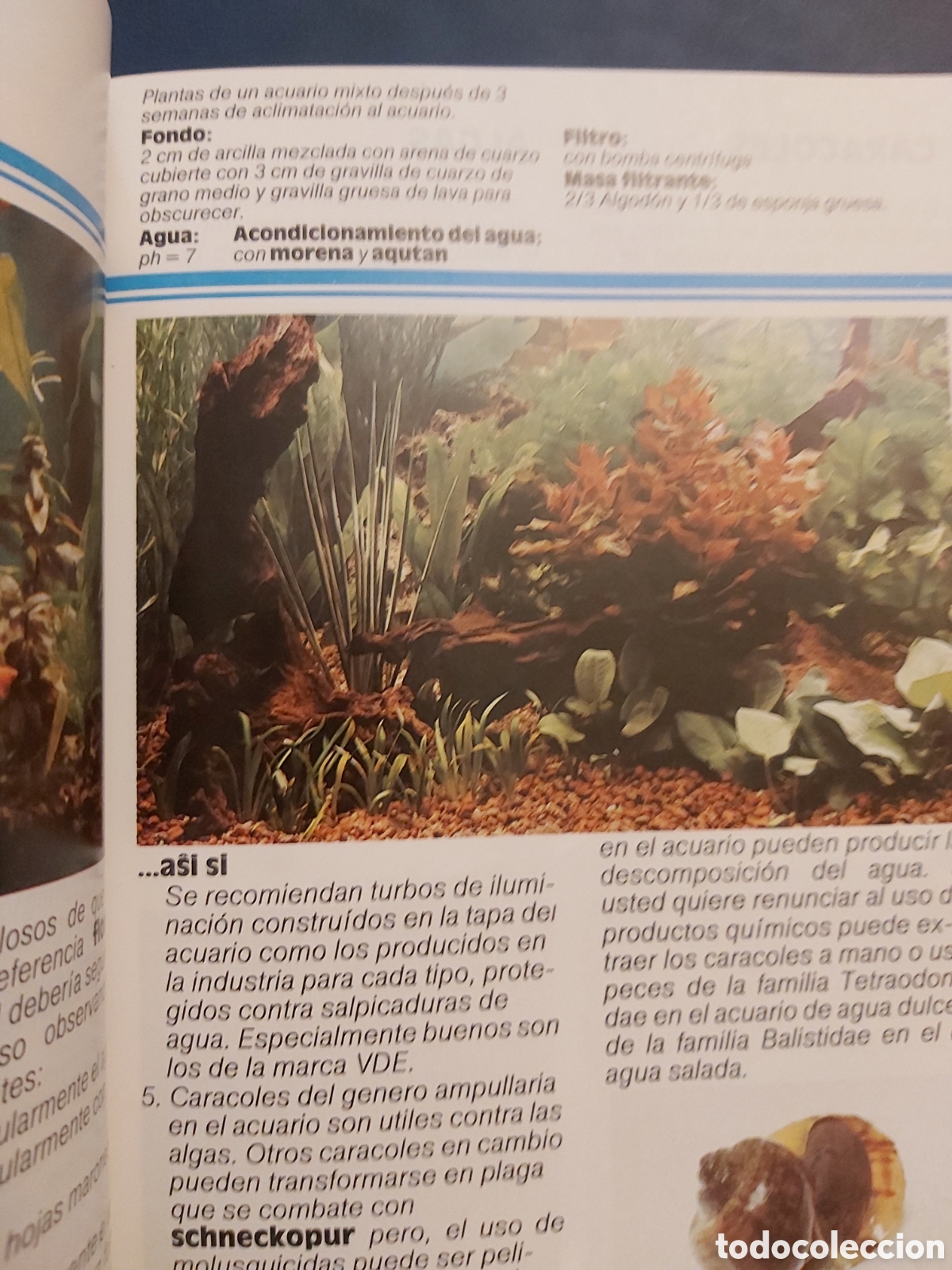 Libros de segunda mano: MANUAL PARA ACUARIOFILOS # ED. SERA # Y - Foto 2