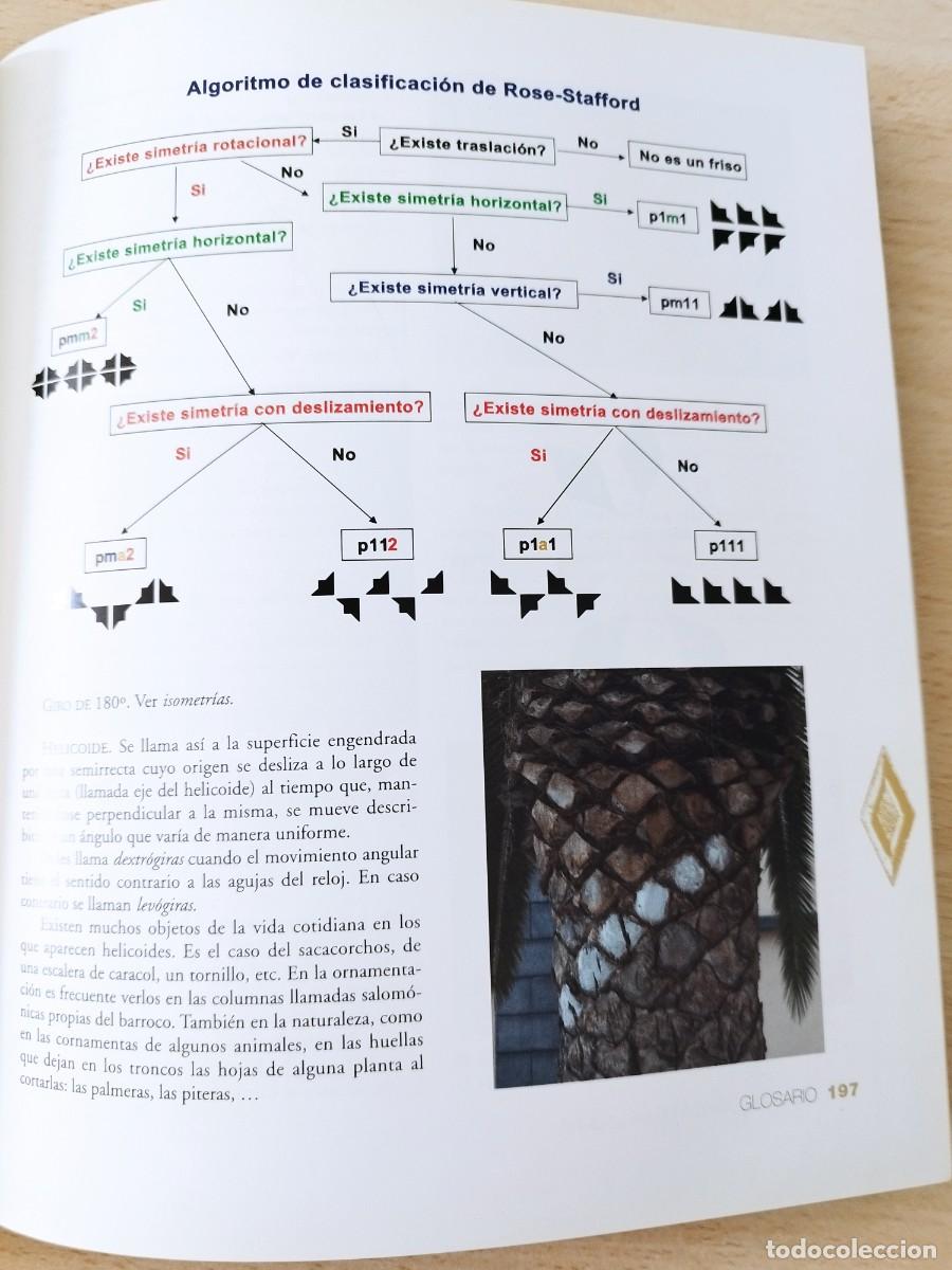 Libros de segunda mano de ciencias: Gu&iacute;a Matem&aacute;tica de San Crist&oacute;bal de La Laguna A&ntilde;o 2004 - Foto 21