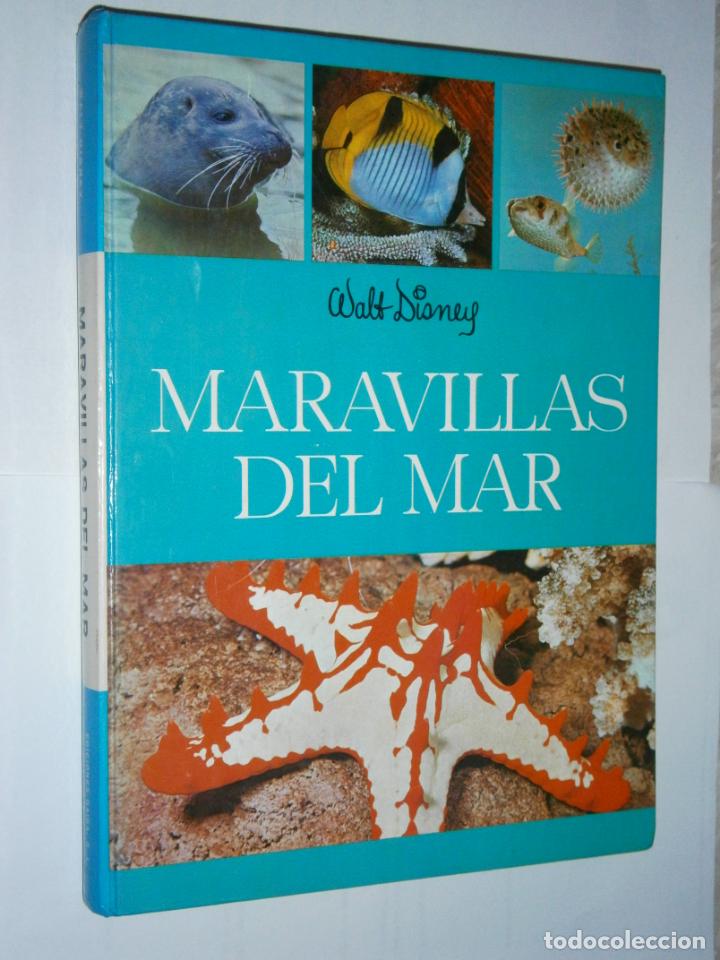 Libros de segunda mano: MARAVILLAS DEL MAR - WALT DISNEY - Foto 1