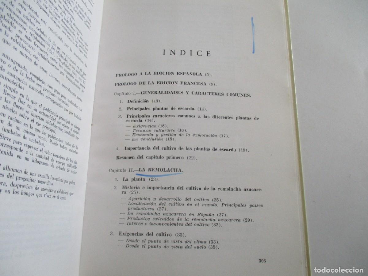 Libros de segunda mano: ROBERT DARPOUX, MARCEL DEBELLEY Plantas de escarda W21541 - Foto 2