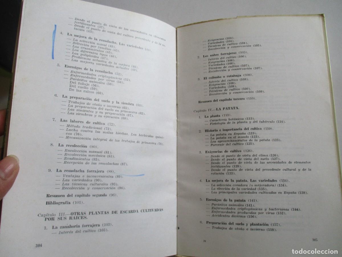 Libros de segunda mano: ROBERT DARPOUX, MARCEL DEBELLEY Plantas de escarda W21541 - Foto 3