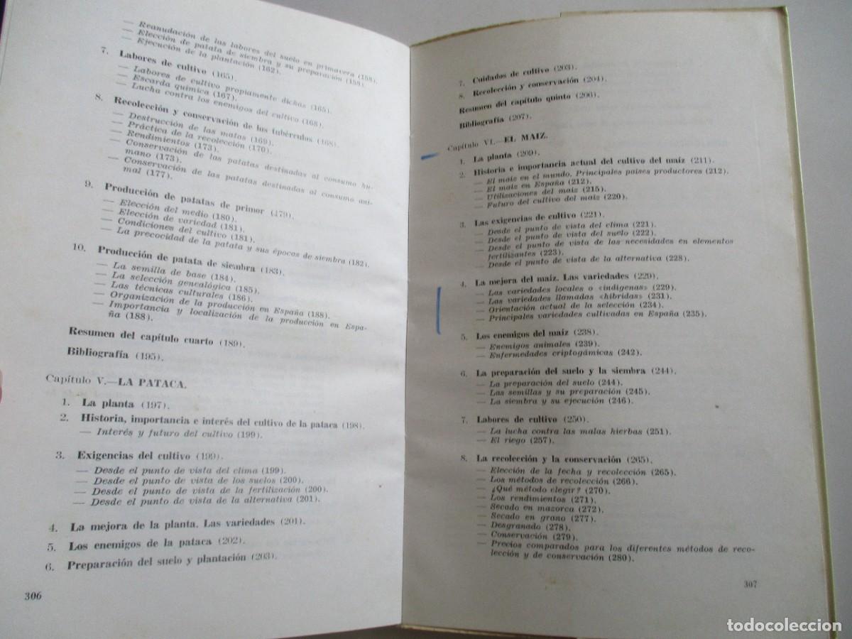 Libros de segunda mano: ROBERT DARPOUX, MARCEL DEBELLEY Plantas de escarda W21541 - Foto 4