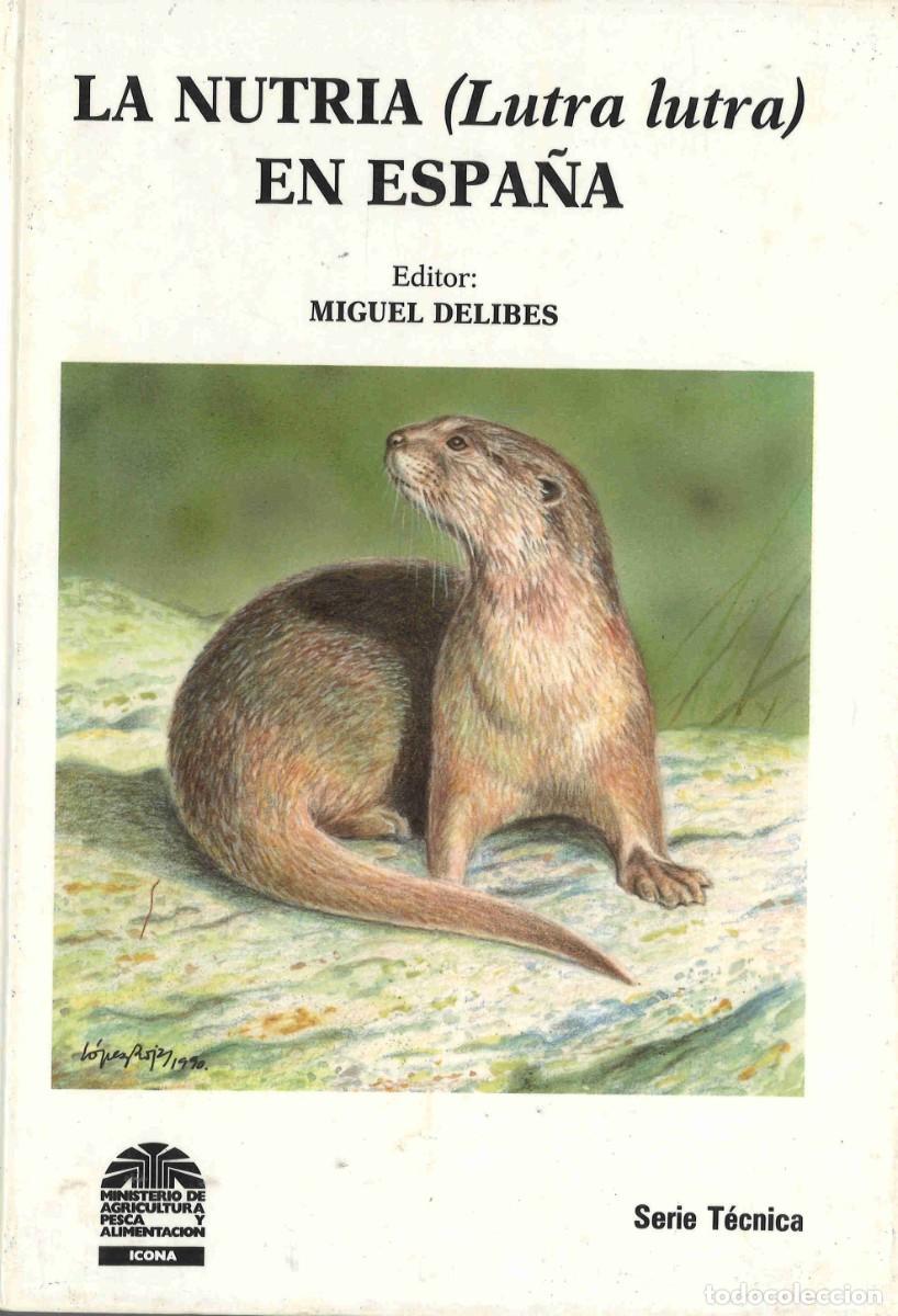 Libros de segunda mano: La nutria en Espa&ntilde;a. ICONA. 1990 - Foto 1