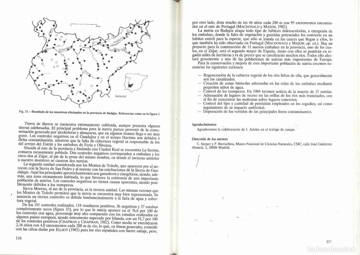 Libros de segunda mano: La nutria en Espa&ntilde;a. ICONA. 1990 - Foto 2
