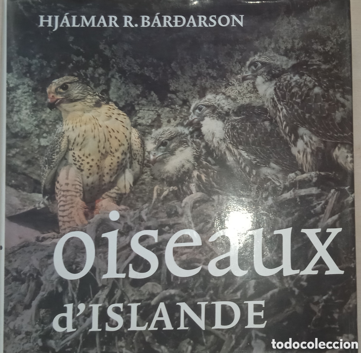 Libri di seconda mano: Hjalmar Bardarson, Oiseaux d'Islande