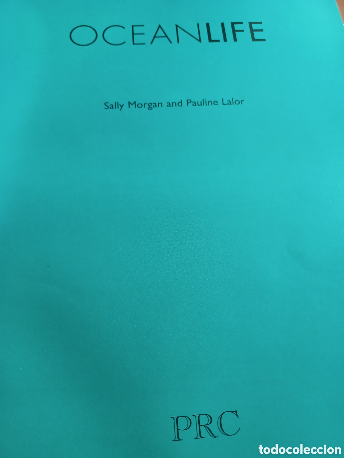 barybook 329. oceanlife. sally morgan and pauli - Buy Used books 