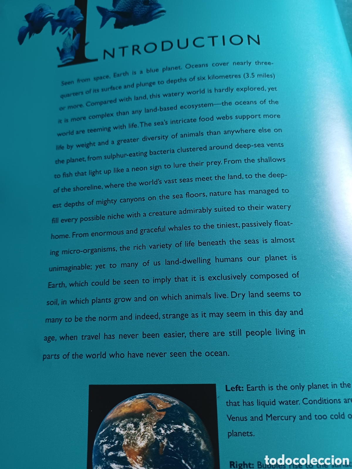 barybook 329. oceanlife. sally morgan and pauli - Buy Used books 