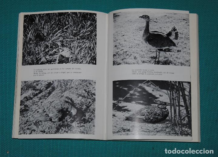 Libros de segunda mano: Manual del cazador - Foto 4