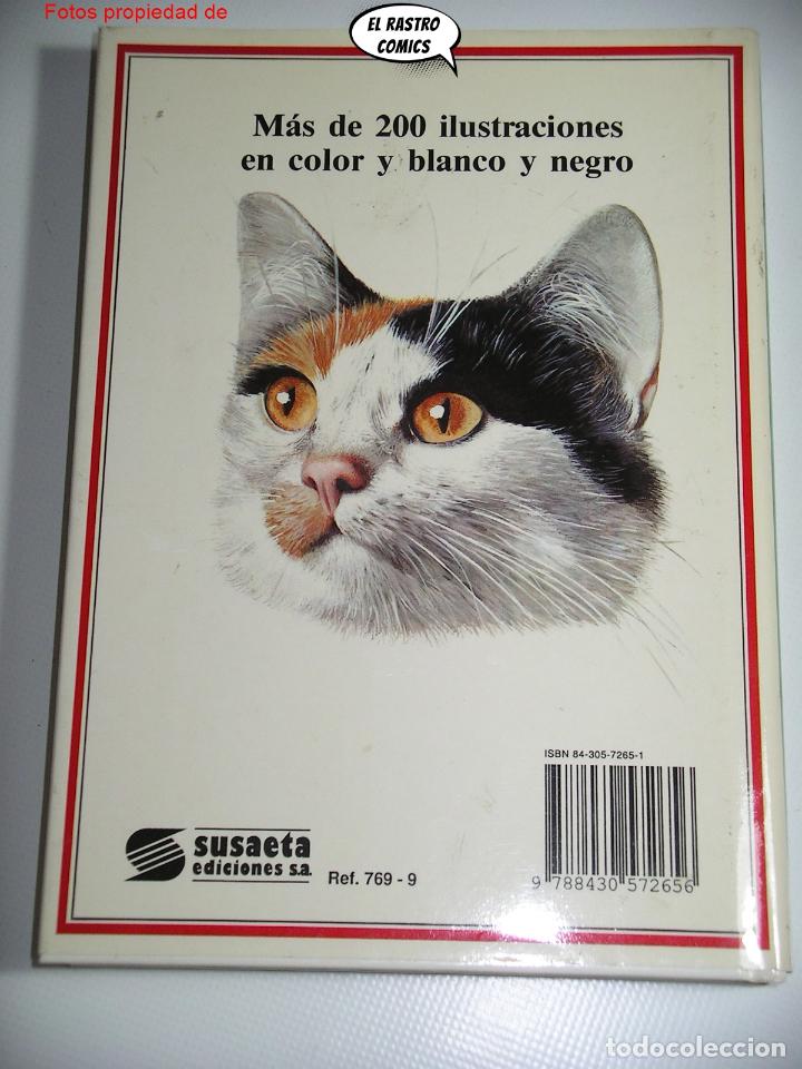 Libros de segunda mano: Gatos, Albert Pintera, Jan Maget, ed. Susaeta 1992, E1 - Foto 3