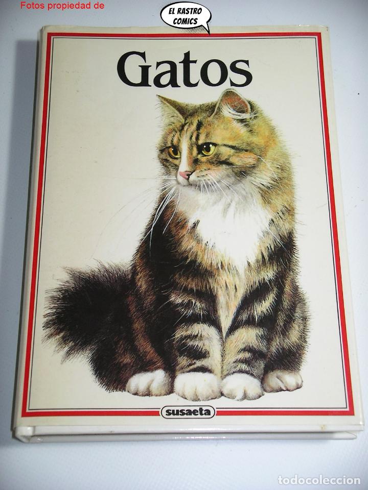 Libros de segunda mano: Gatos, Albert Pintera, Jan Maget, ed. Susaeta 1992, E1 - Foto 1