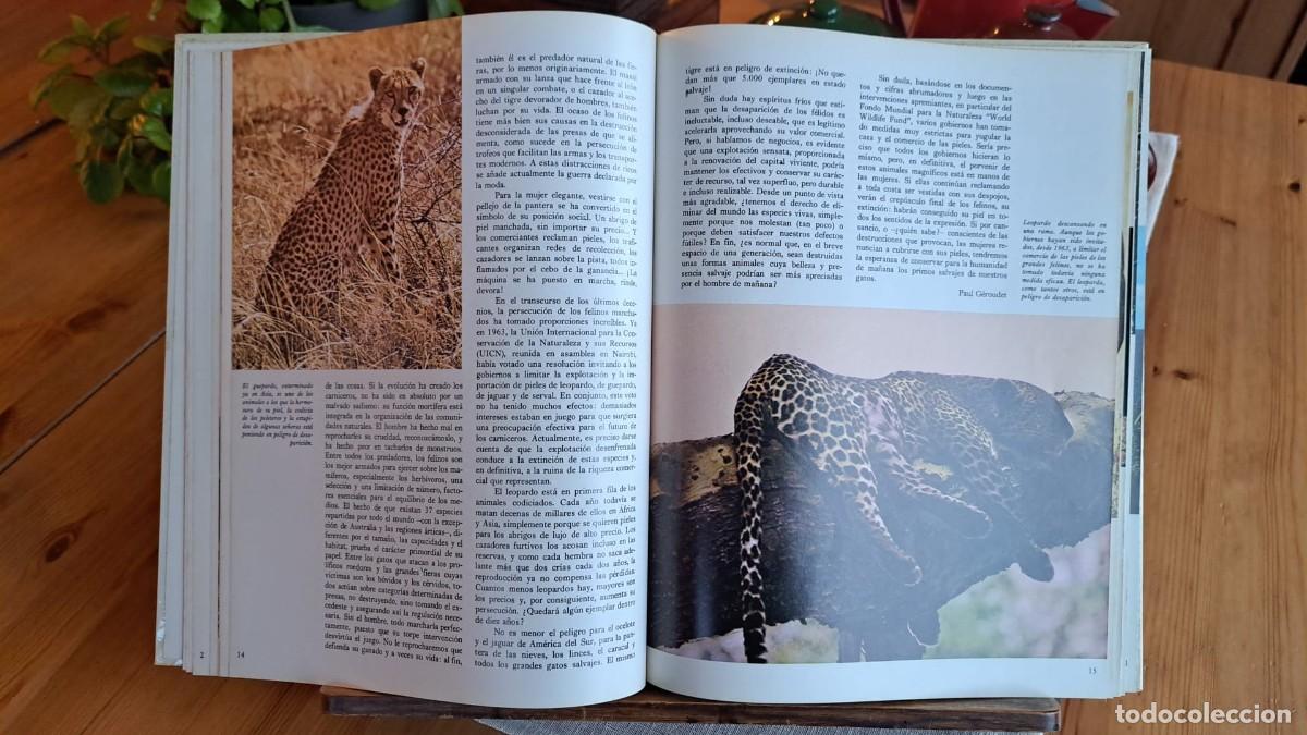 Libros de segunda mano: ANIMALES en PELIGRO / WORLD WILDLIFE FUND - Foto 2
