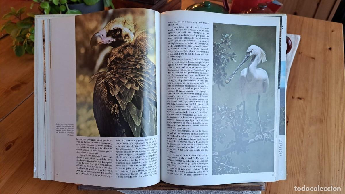 Libros de segunda mano: ANIMALES en PELIGRO / WORLD WILDLIFE FUND - Foto 3