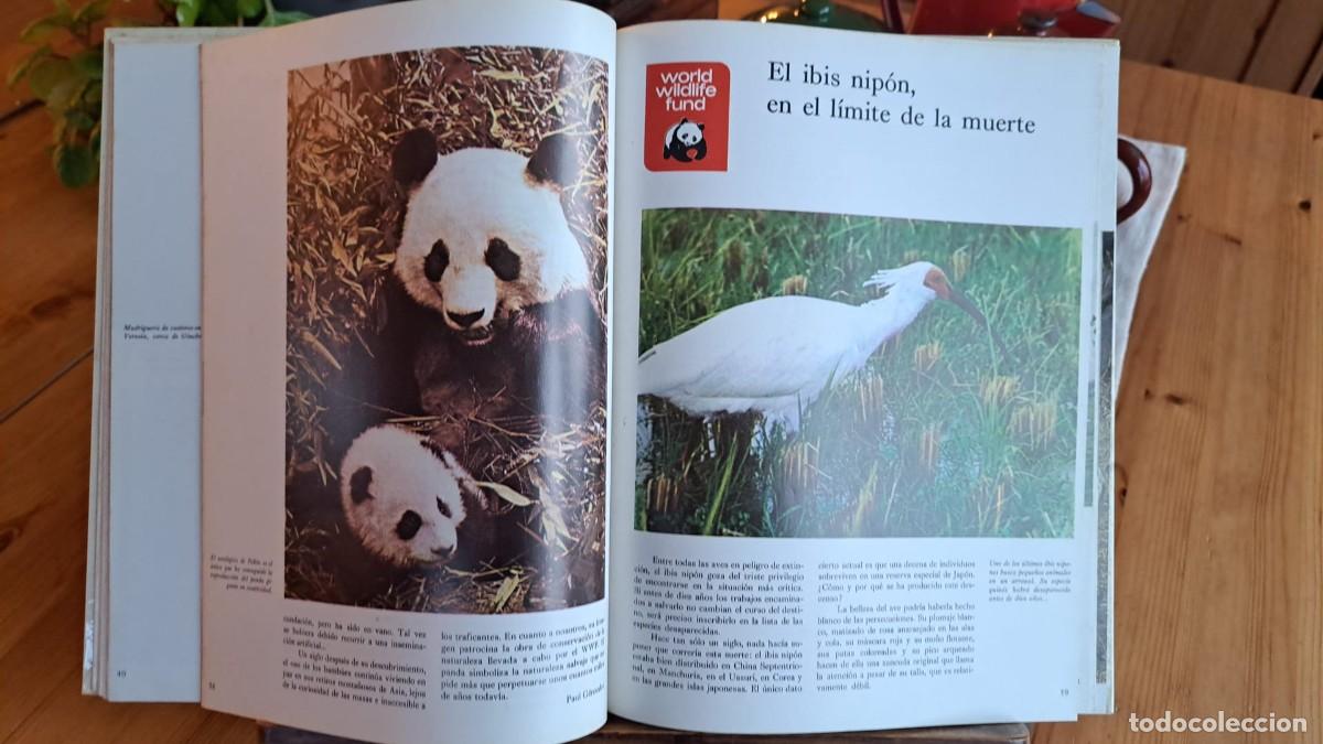 Libros de segunda mano: ANIMALES en PELIGRO / WORLD WILDLIFE FUND - Foto 4