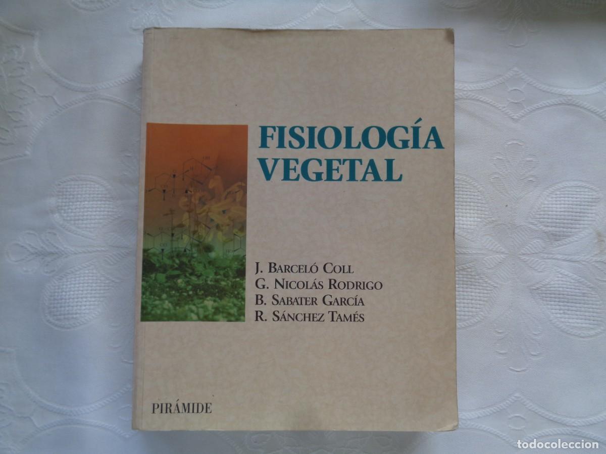 Libros de segunda mano: BERCEL&Oacute; COLL/NICOL&Aacute;S RODRIGO/ SABATER GARC&Iacute;A Y S&Aacute;NCHEZ TAM&Eacute;S. FISIOLOG&Iacute;A VEGETAL. 2001.