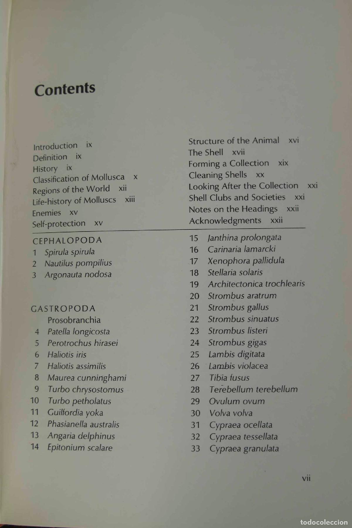 Libros de segunda mano: World of Shells. Storey - Foto 3