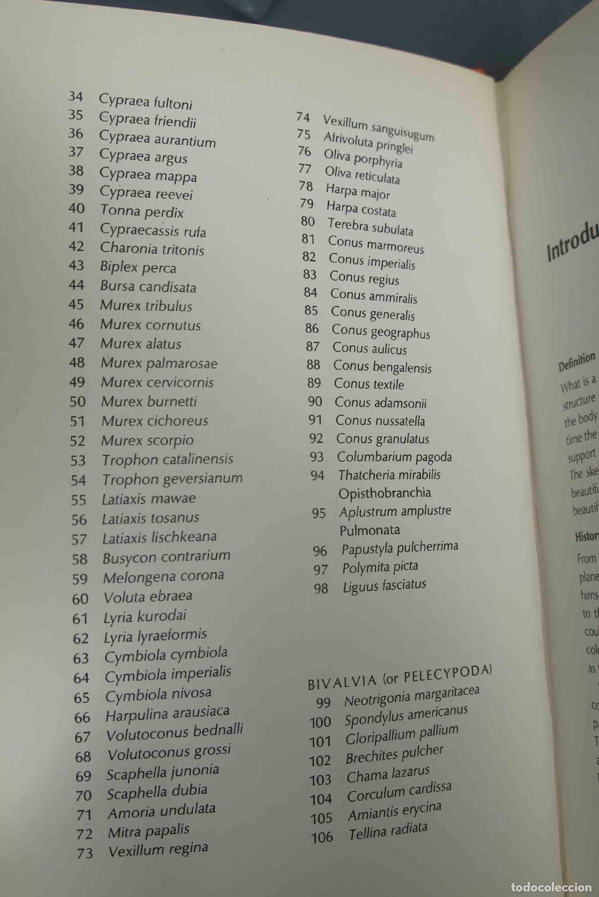 Libros de segunda mano: World of Shells. Storey - Foto 4