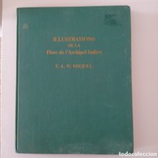 Libros de segunda mano: MIQUEL ILLUSTRATIONS DE LA FLORE DE L'ARCHIPEL INDIEN 1871-1983 INDIA ASIA BOTÁNICA FLORES PLANTAS