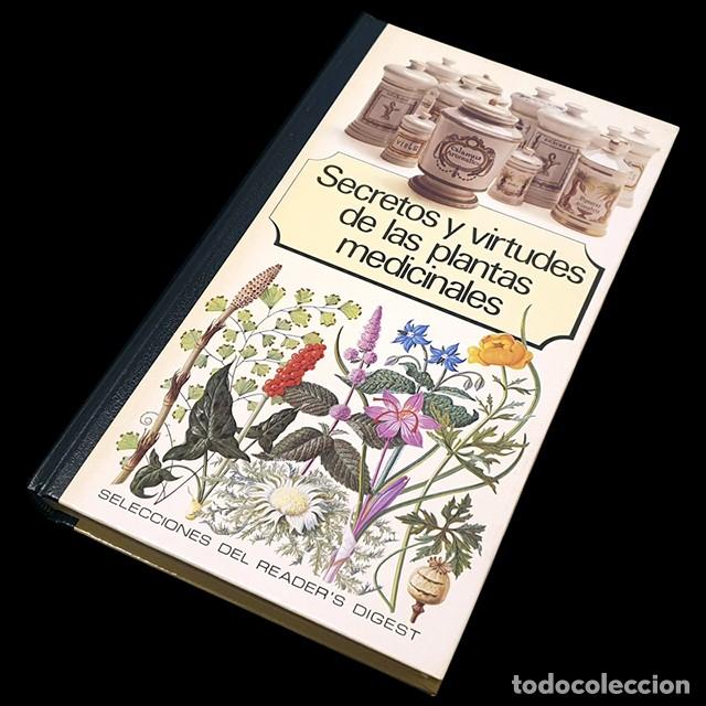 Libros de segunda mano: Secretos y virtudes de las plantas medicinales - Foto 3