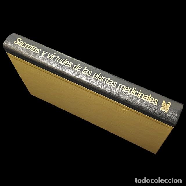 Libros de segunda mano: Secretos y virtudes de las plantas medicinales - Foto 5