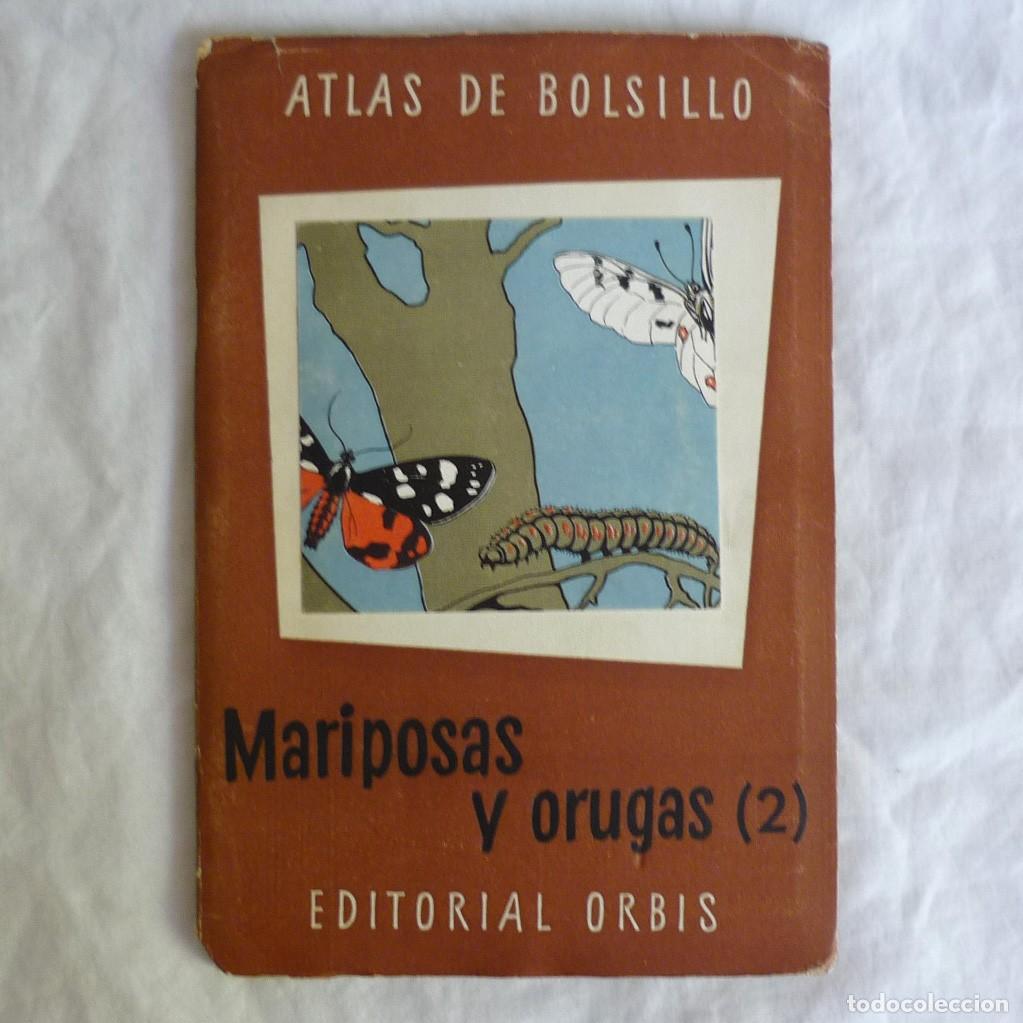 Libros de segunda mano: Atlas de bolsillo Mariposas y orugas (2) Ed. Orbis 1955 - Foto 1