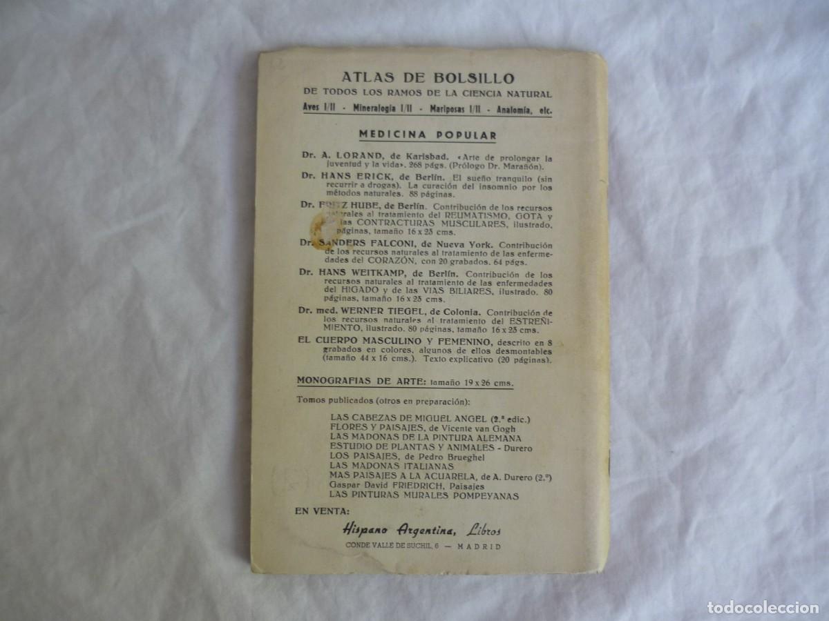 Libros de segunda mano: Atlas de bolsillo Mariposas y orugas (2) Ed. Orbis 1955 - Foto 2