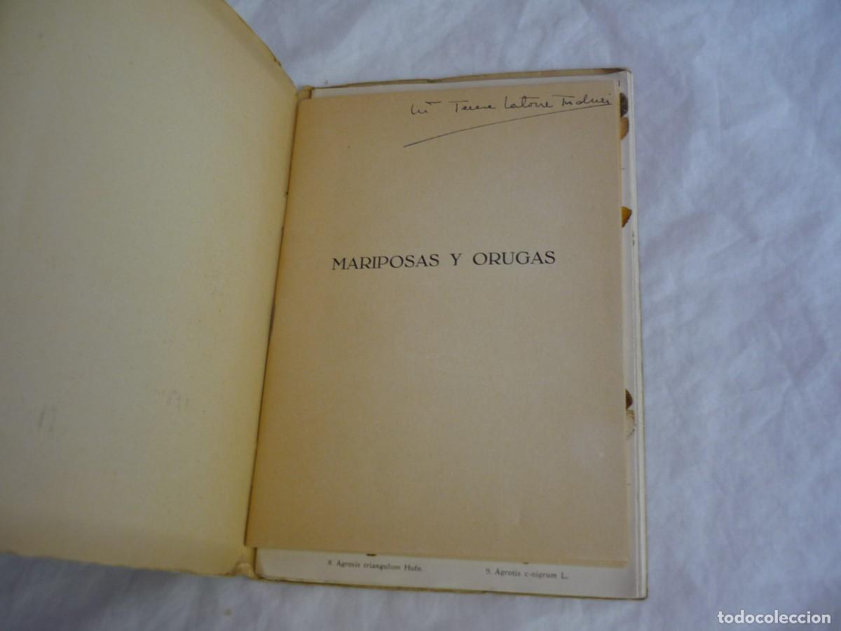 Libros de segunda mano: Atlas de bolsillo Mariposas y orugas (2) Ed. Orbis 1955 - Foto 5