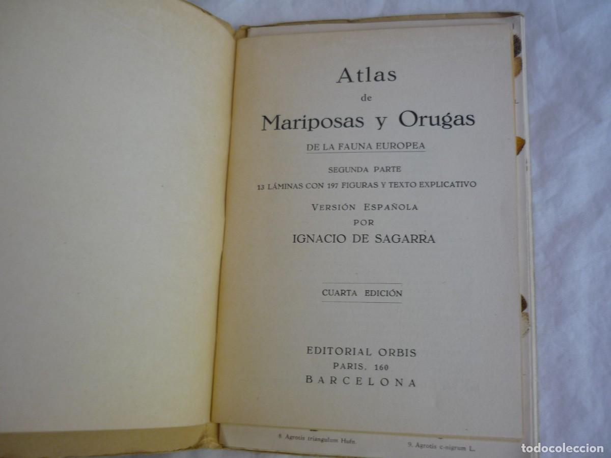 Libros de segunda mano: Atlas de bolsillo Mariposas y orugas (2) Ed. Orbis 1955 - Foto 6