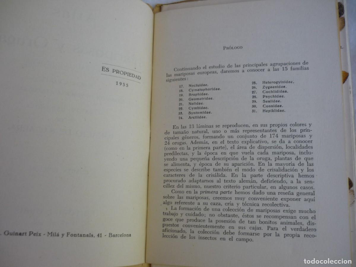 Libros de segunda mano: Atlas de bolsillo Mariposas y orugas (2) Ed. Orbis 1955 - Foto 7