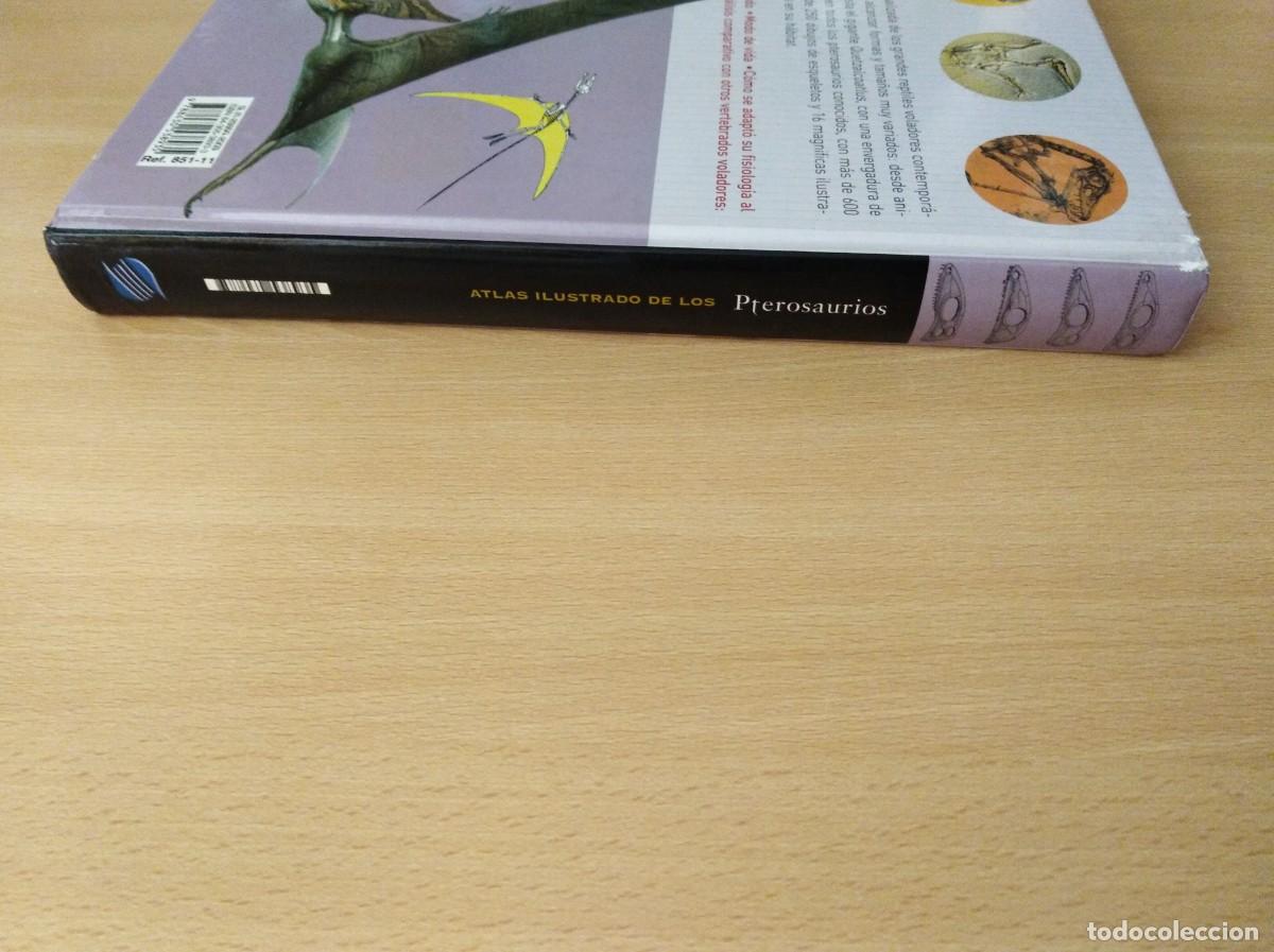 Libros de segunda mano: ATLAS ILUSTRADO DE LOS PTEROSAURIOS. Peter Wellnhofer / John Sibbick - Foto 6