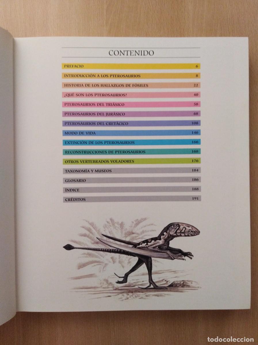 Libros de segunda mano: ATLAS ILUSTRADO DE LOS PTEROSAURIOS. Peter Wellnhofer / John Sibbick - Foto 13