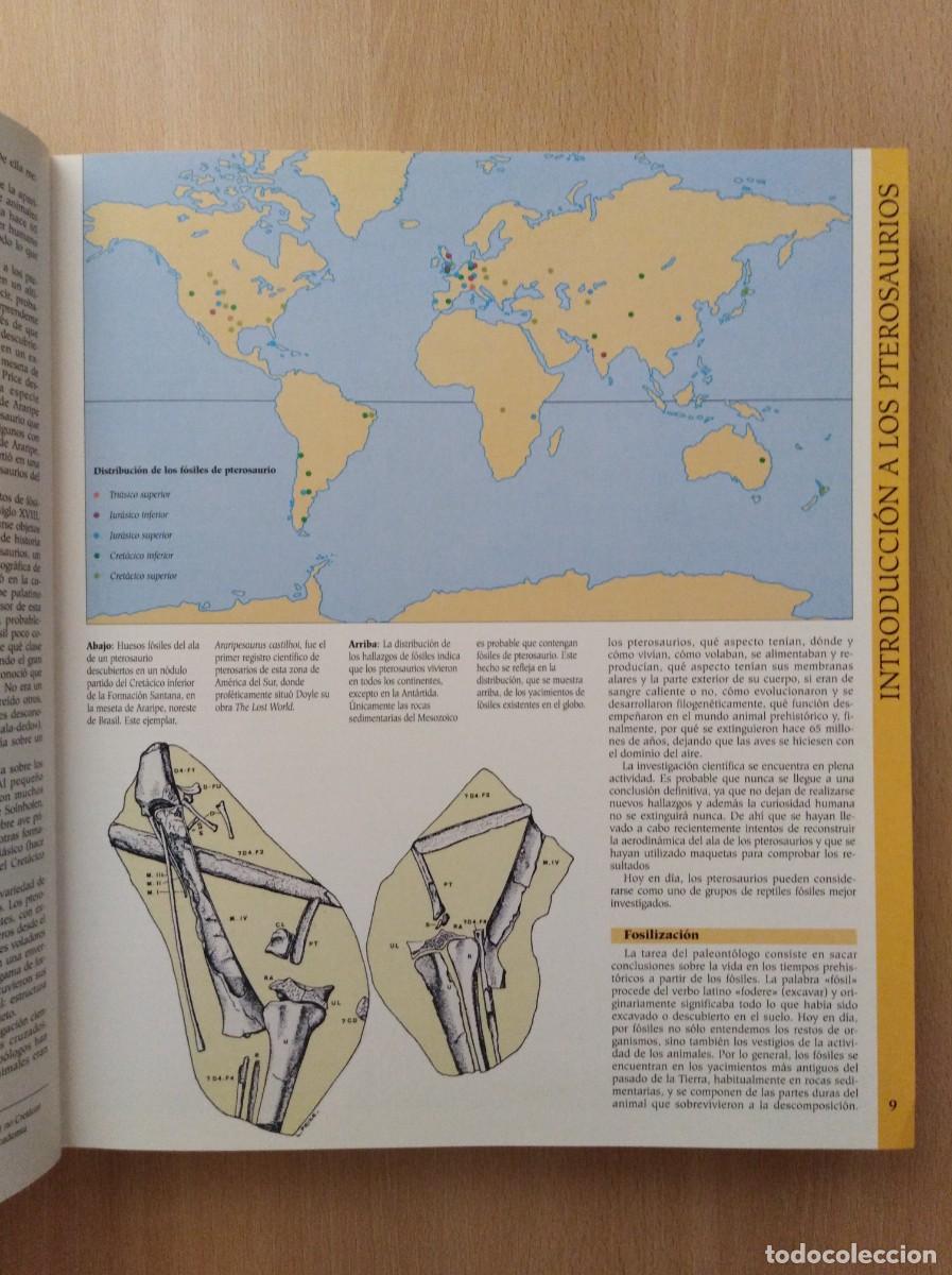 Libros de segunda mano: ATLAS ILUSTRADO DE LOS PTEROSAURIOS. Peter Wellnhofer / John Sibbick - Foto 15