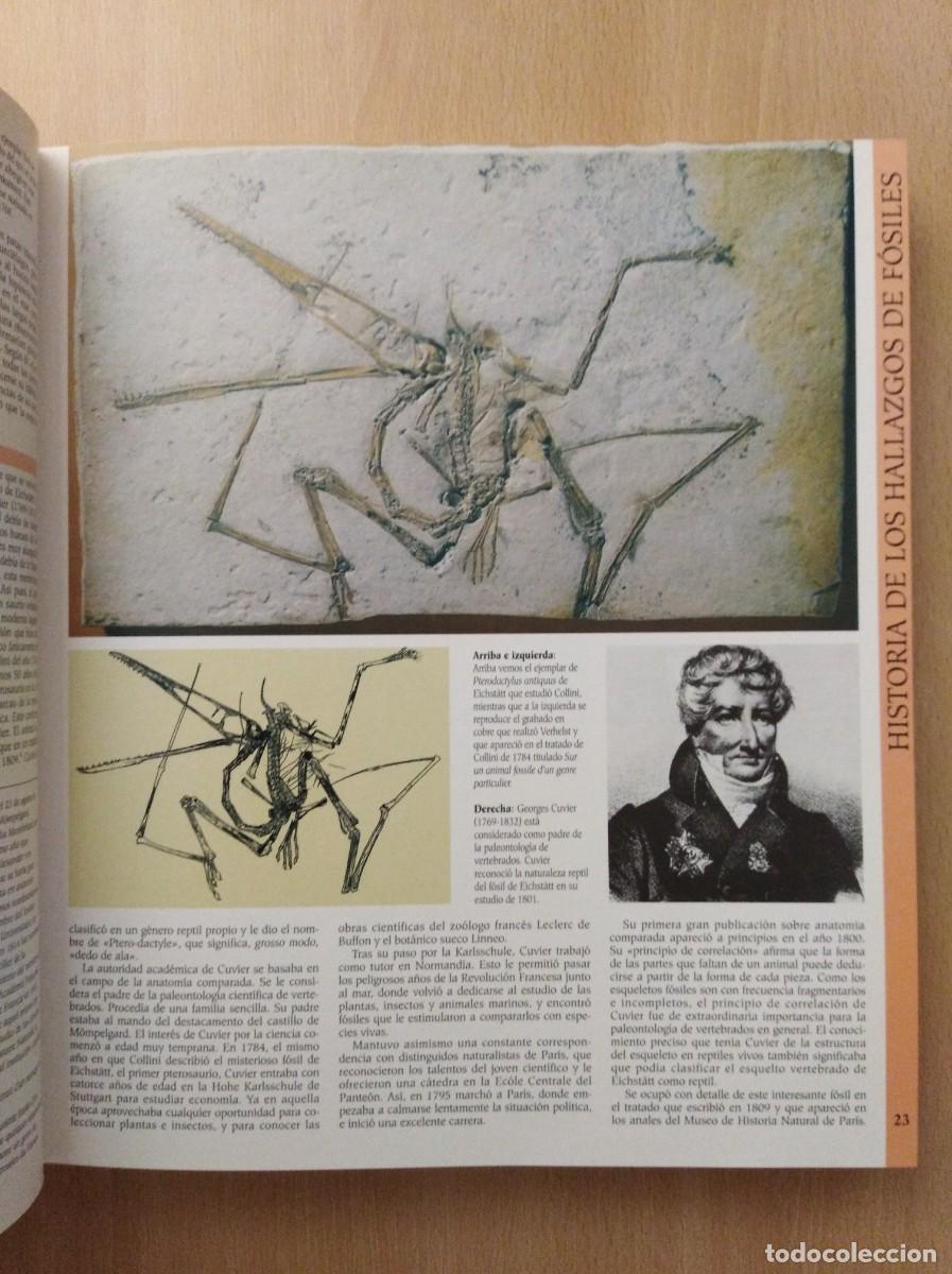 Libros de segunda mano: ATLAS ILUSTRADO DE LOS PTEROSAURIOS. Peter Wellnhofer / John Sibbick - Foto 16