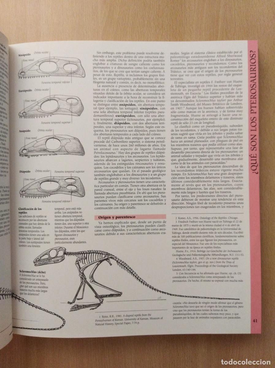 Libros de segunda mano: ATLAS ILUSTRADO DE LOS PTEROSAURIOS. Peter Wellnhofer / John Sibbick - Foto 17