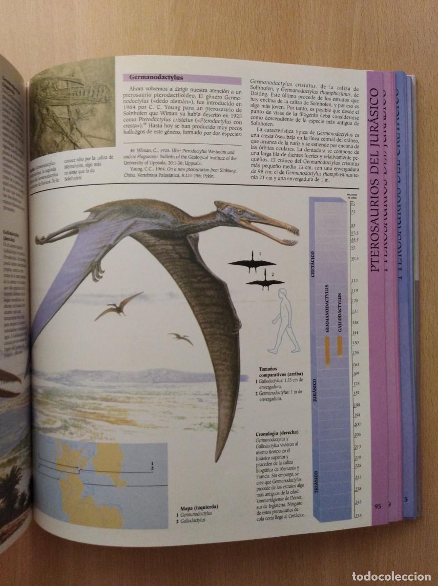 Libros de segunda mano: ATLAS ILUSTRADO DE LOS PTEROSAURIOS. Peter Wellnhofer / John Sibbick - Foto 18