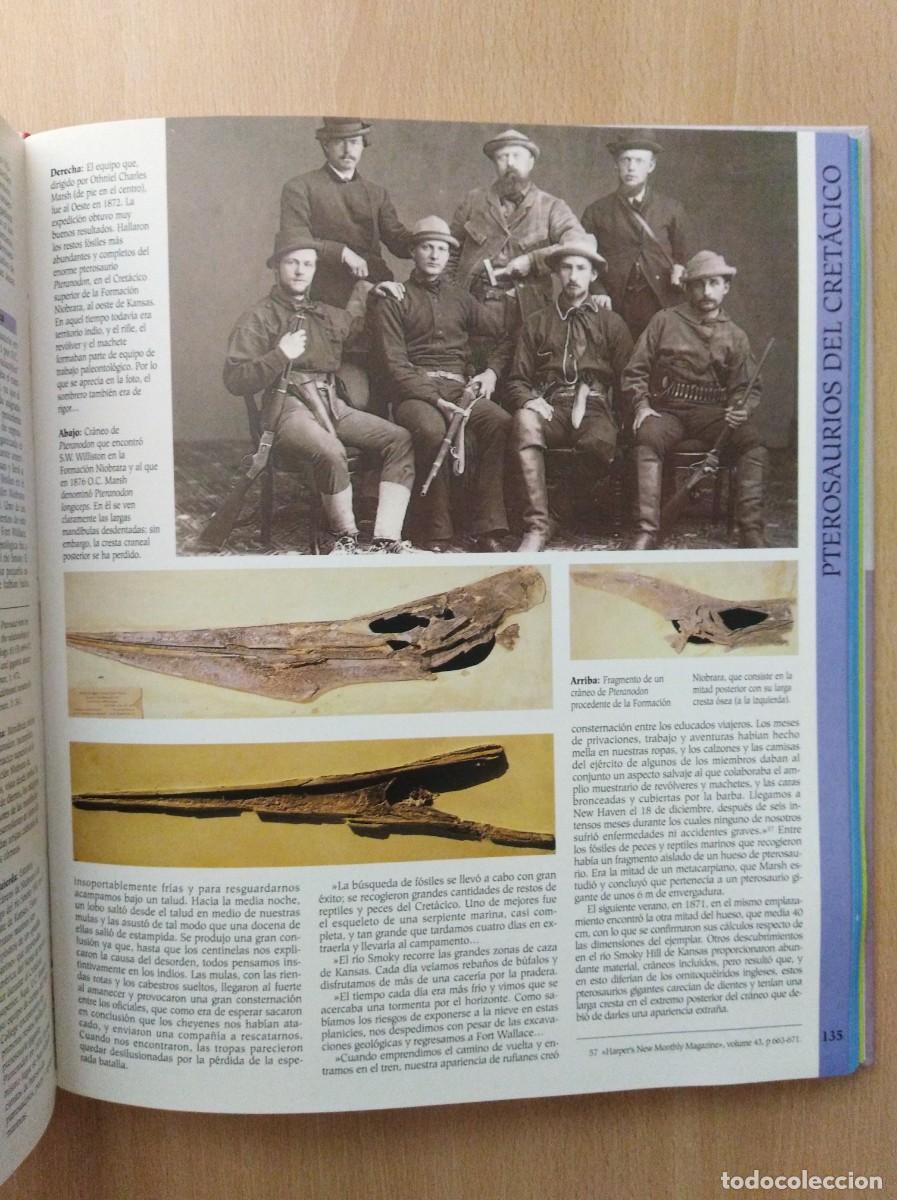 Libros de segunda mano: ATLAS ILUSTRADO DE LOS PTEROSAURIOS. Peter Wellnhofer / John Sibbick - Foto 19