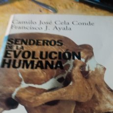 Libros de segunda mano: SENDEROS DE LA EVOLUCIÓN HUMANA ( CELA CONDE) TH 791