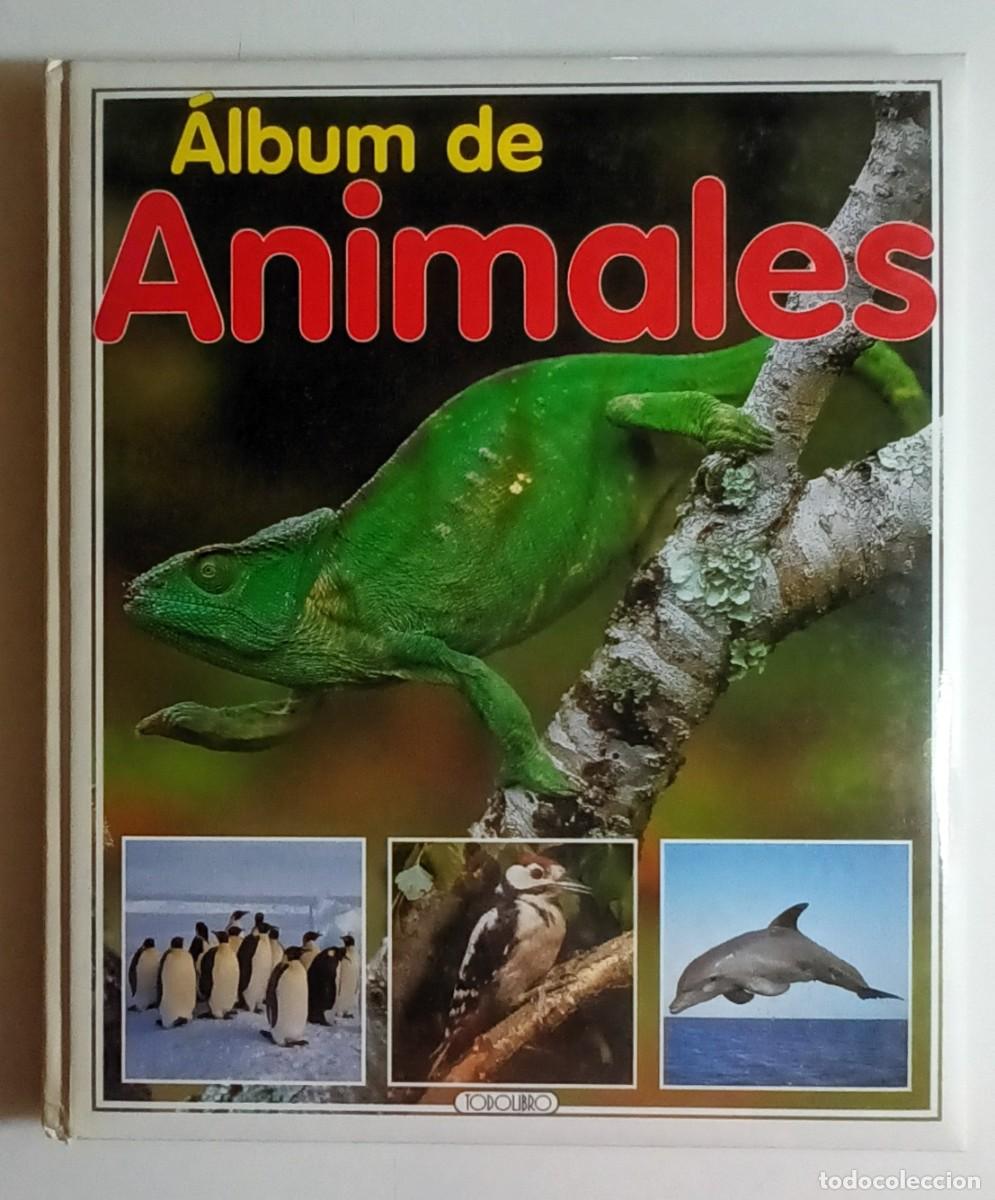 Libros de segunda mano: ALBUM DE ANIMALES - TODOLIBRO - Foto 1