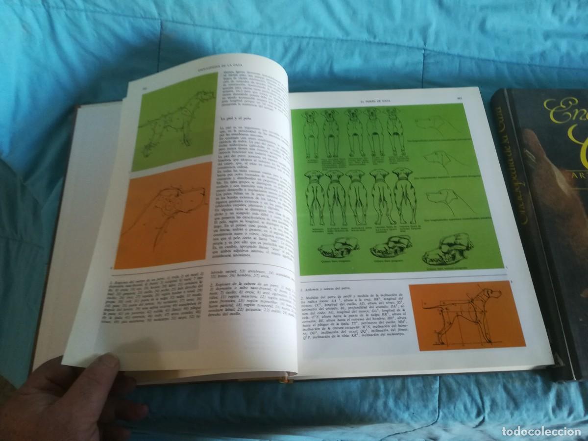 Libros de segunda mano: ENCICLOPEDIA DE LA CAZA / 2 TOMOS / CONS600/7 / RUEDA - Foto 5