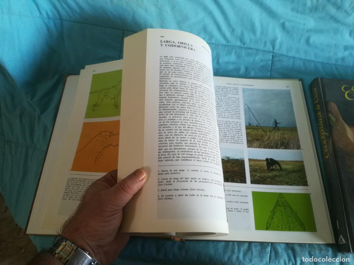 Libros de segunda mano: ENCICLOPEDIA DE LA CAZA / 2 TOMOS / CONS600/7 / RUEDA - Foto 6