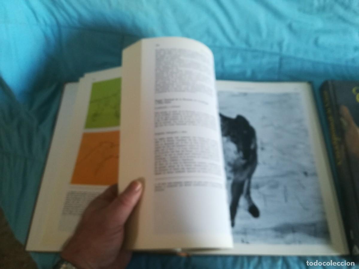 Libros de segunda mano: ENCICLOPEDIA DE LA CAZA / 2 TOMOS / CONS600/7 / RUEDA - Foto 7