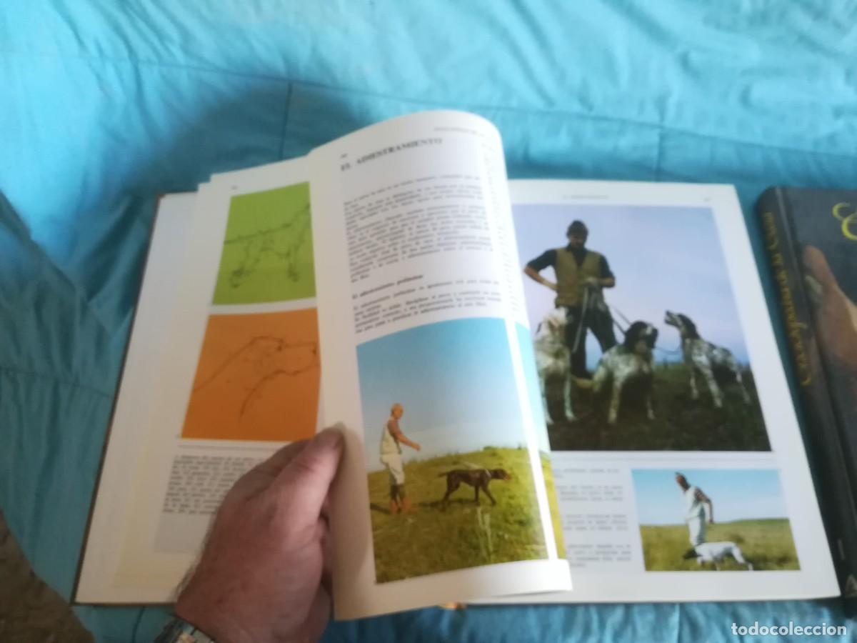 Libros de segunda mano: ENCICLOPEDIA DE LA CAZA / 2 TOMOS / CONS600/7 / RUEDA - Foto 11