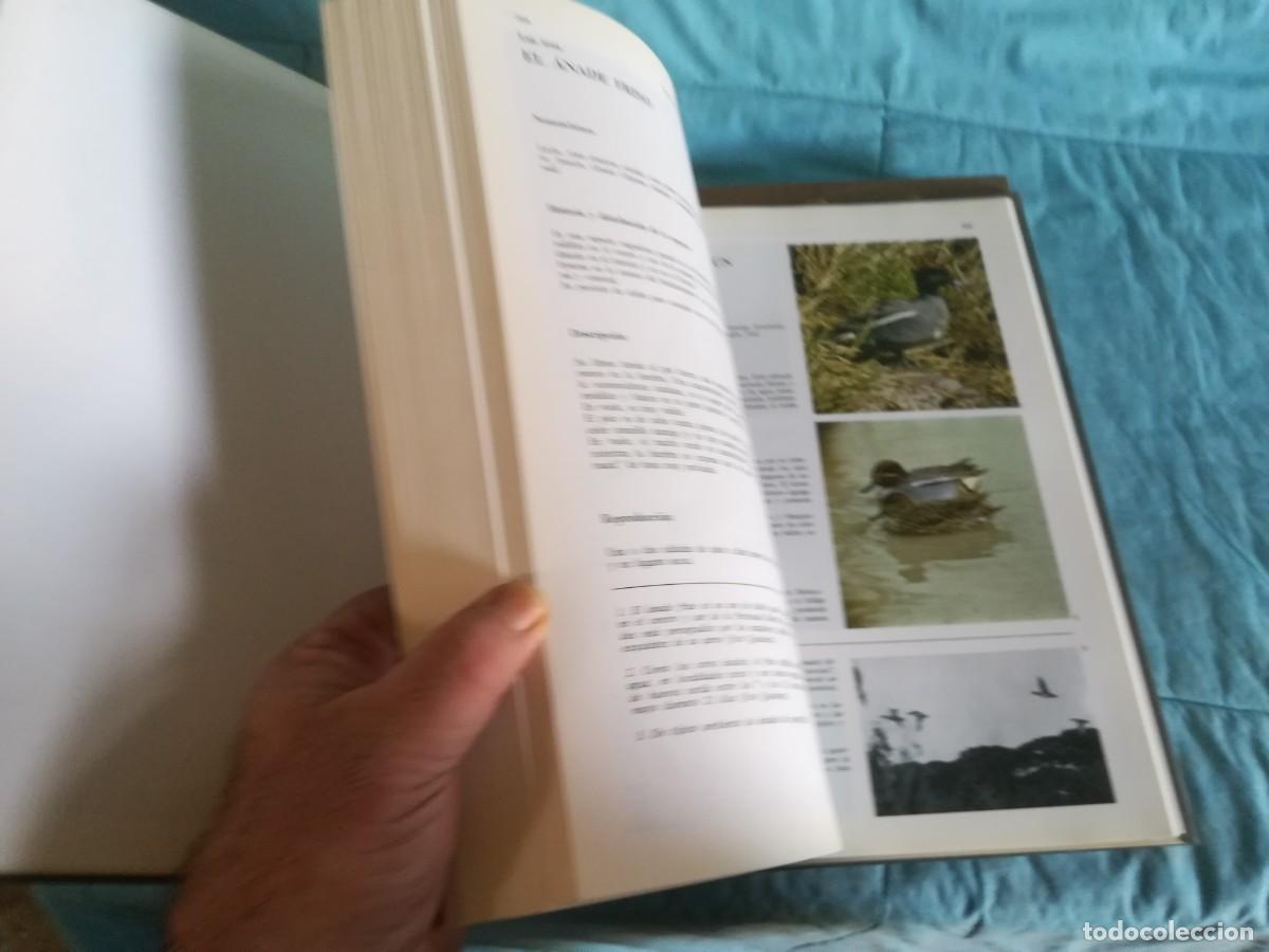 Libros de segunda mano: ENCICLOPEDIA DE LA CAZA / 2 TOMOS / CONS600/7 / RUEDA - Foto 12