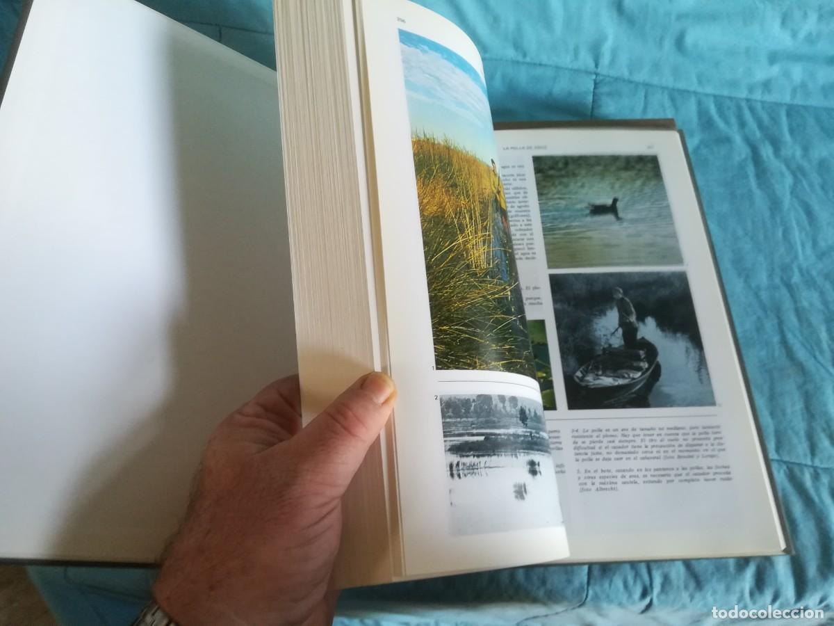 Libros de segunda mano: ENCICLOPEDIA DE LA CAZA / 2 TOMOS / CONS600/7 / RUEDA - Foto 13