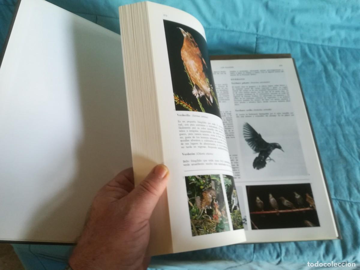 Libros de segunda mano: ENCICLOPEDIA DE LA CAZA / 2 TOMOS / CONS600/7 / RUEDA - Foto 14