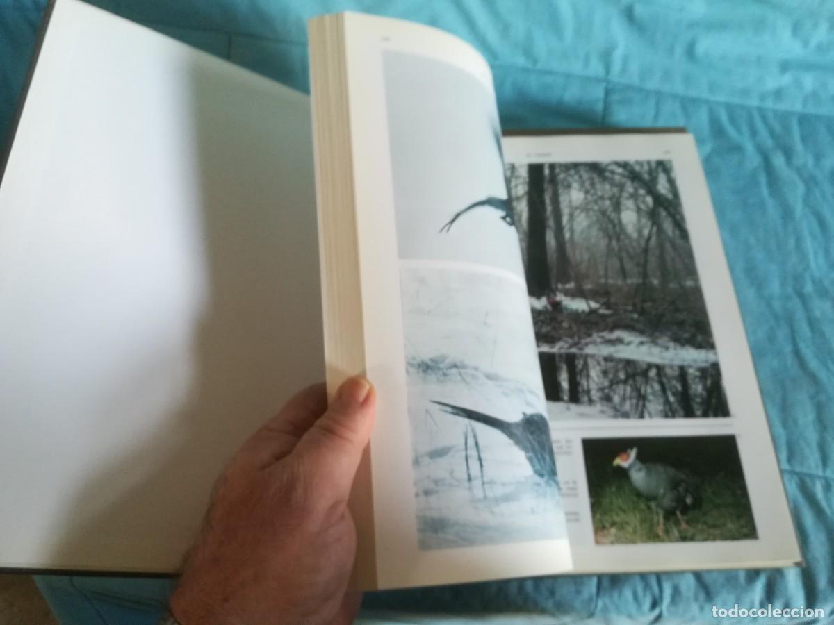 Libros de segunda mano: ENCICLOPEDIA DE LA CAZA / 2 TOMOS / CONS600/7 / RUEDA - Foto 15