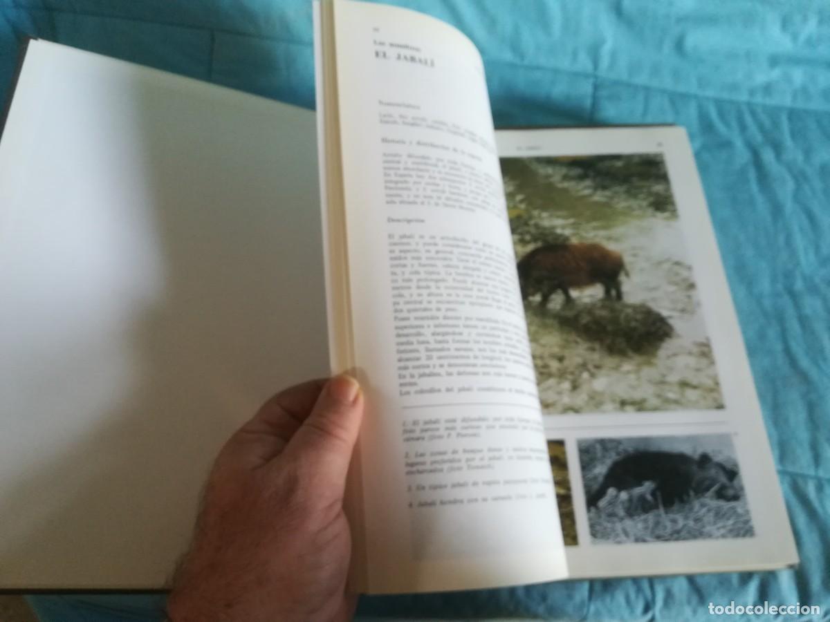 Libros de segunda mano: ENCICLOPEDIA DE LA CAZA / 2 TOMOS / CONS600/7 / RUEDA - Foto 17