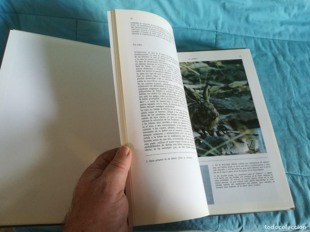 Libros de segunda mano: ENCICLOPEDIA DE LA CAZA / 2 TOMOS / CONS600/7 / RUEDA - Foto 18