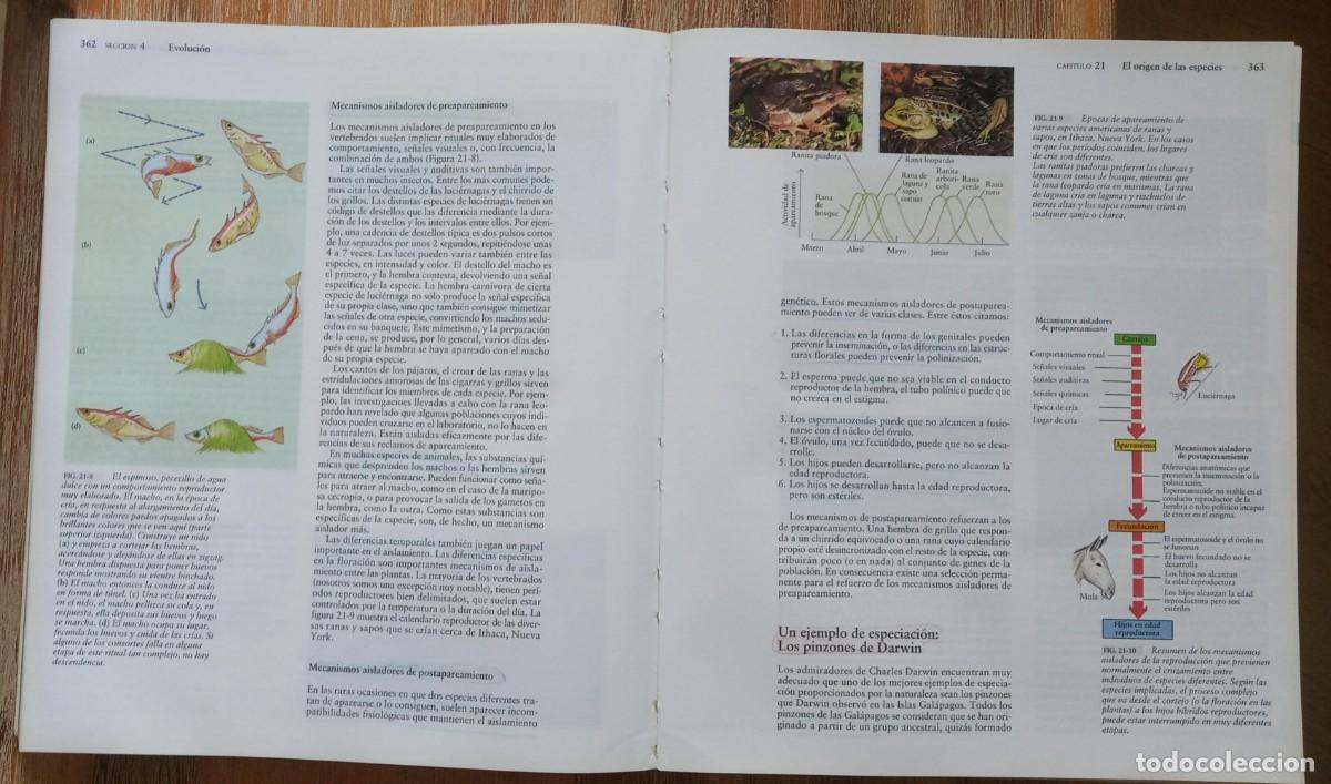 Libros de segunda mano: INVITACION A LA BIOLOGIA - CURTIS BARNES - Foto 3